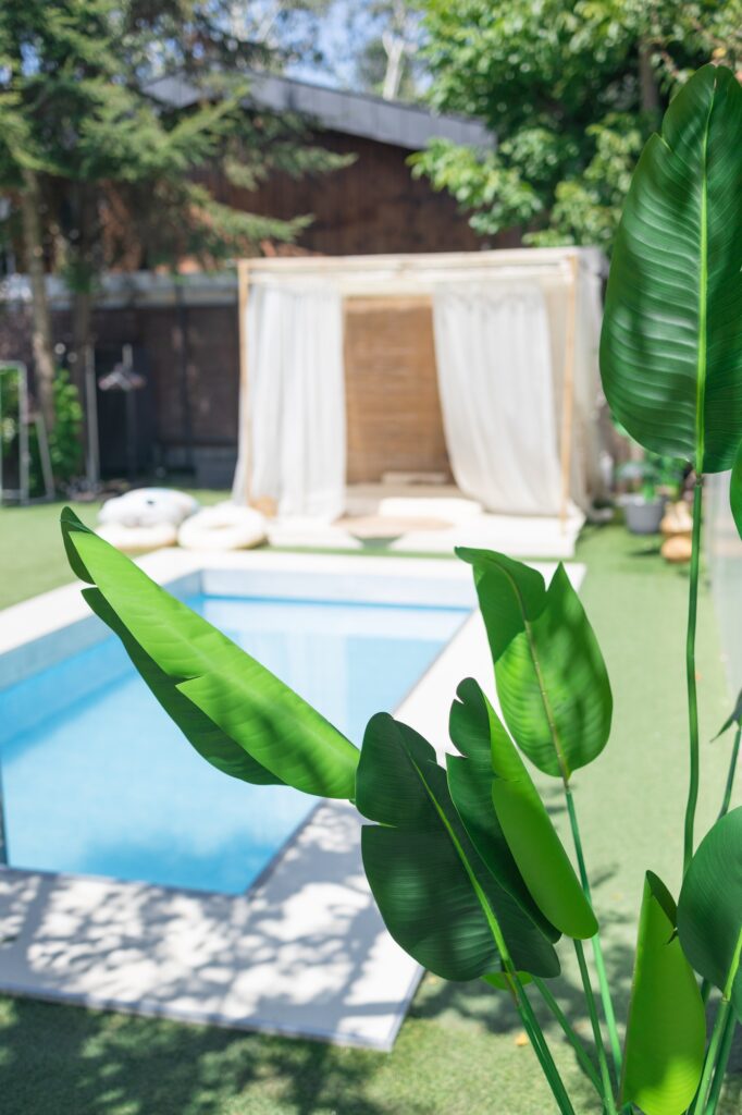 House leisure area, backyard with pool, tropical plants in the backyard of a luxury home. Industrial